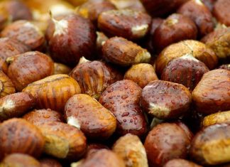 Sleeve bypass : recette de la farine de châtaigne.