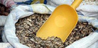 Pourquoi n’arrive-t-on pas à perdre du poids ? Le mauvais gras Le bon gras est nécessaire pour perdre du poids.