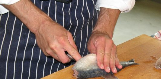 Le hareng est un poisson gras.