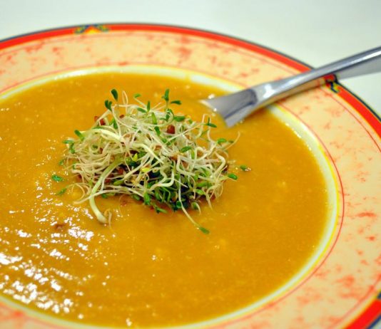 Photo d'un velouté pour une sleeve ou. un bypass.