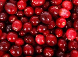 Nos 4 conseils alimentaires en cas d’insuffisance rénale Photo de canneberges, illustrant un article sur l'insuffisance rénale.