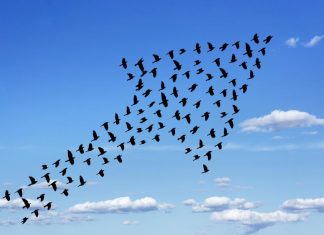 Traitement du diabète sucré : les 6 objectifs que vous devez retenir